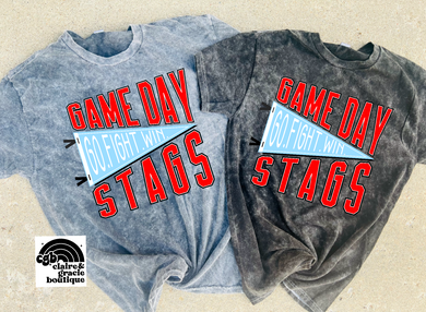 Game Day Stags Mineral Wash Tee |