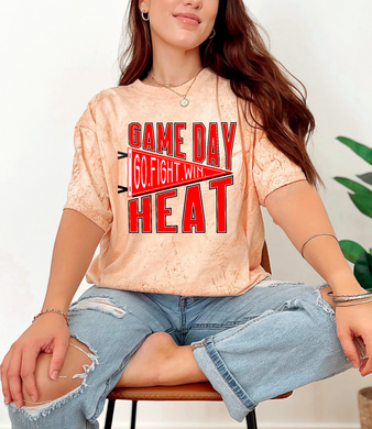 Rural Vista Game Day Heat Pennant Tee |
